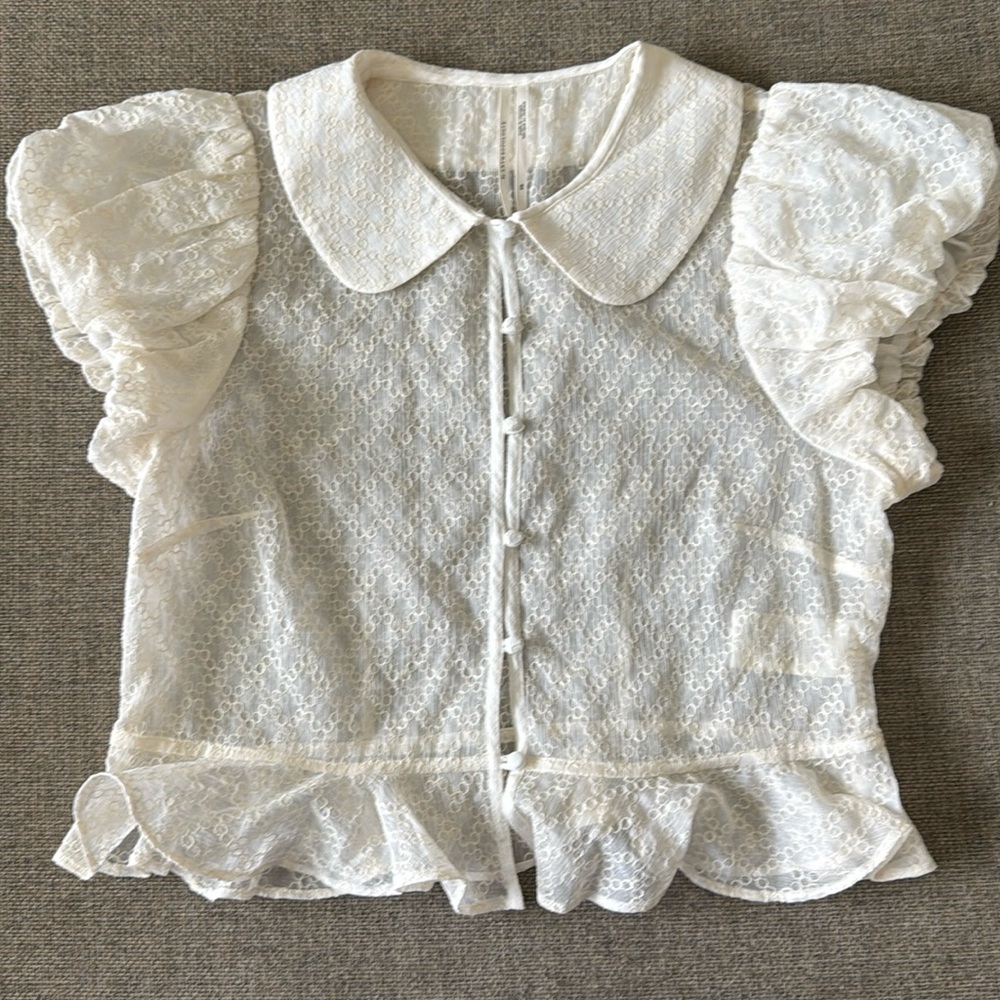 Anthropologie sheer puffy sleeve top